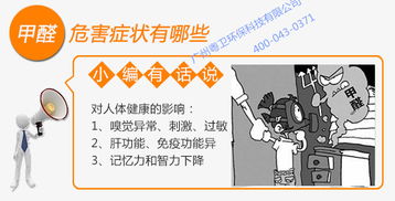 广州除甲醛专业公司治理空气污染领先的技术